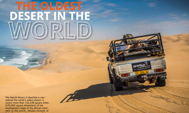 世界最古の砂漠 - ナミブ砂漠を渡る