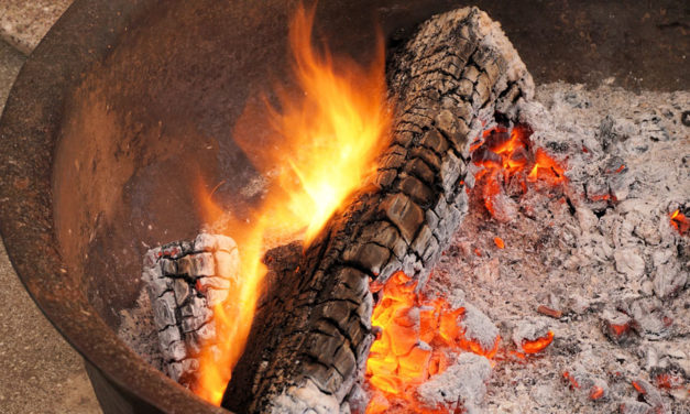 Choosing the best wood for your campfire